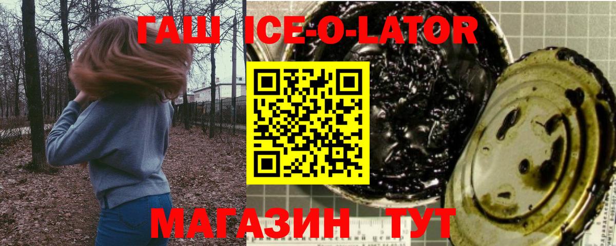 ГАШ Изолятор  ГАШ  Киреевск  Вход с VPN 