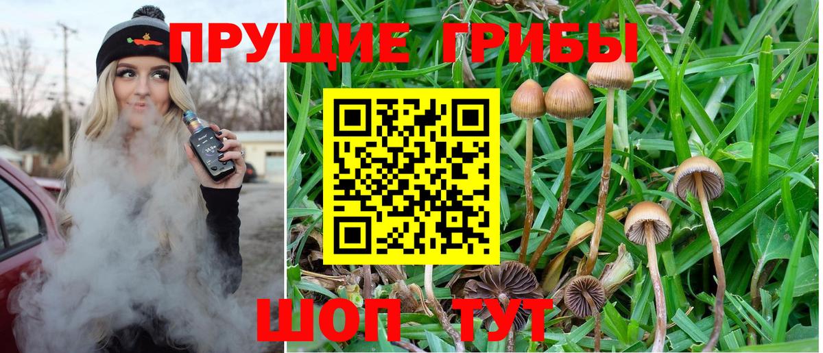 Галлюциногенные грибы прущие грибы  Вход с VPN  Псилоцибиновые грибы мицелий  Киреевск 